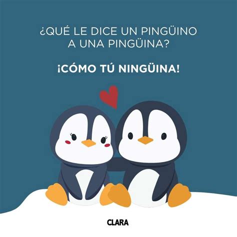 chistes malos que son buenos|200 chistes malos y cortos que al final siempre acaban dado risa